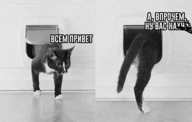 Бредзона 02.02.21