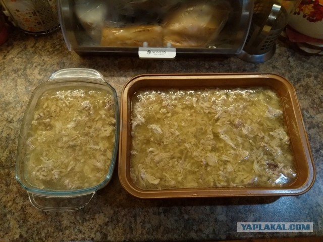 Нищебродам на заметку. Рваные курицы