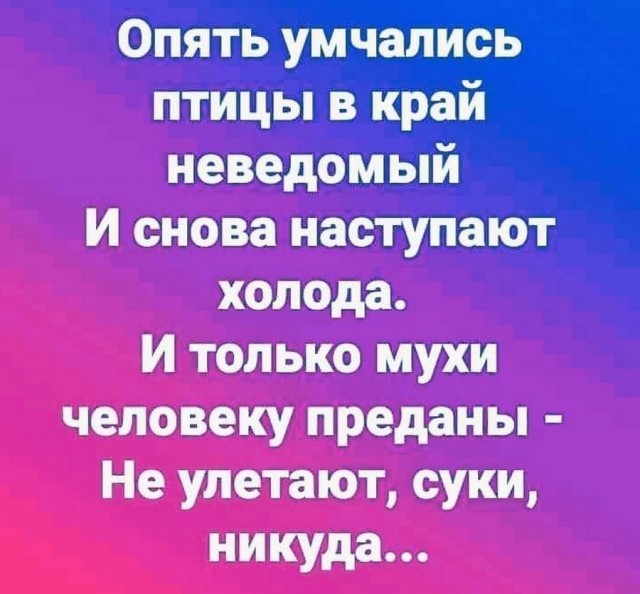 Картинки и мемы для настроения 26.08.2021