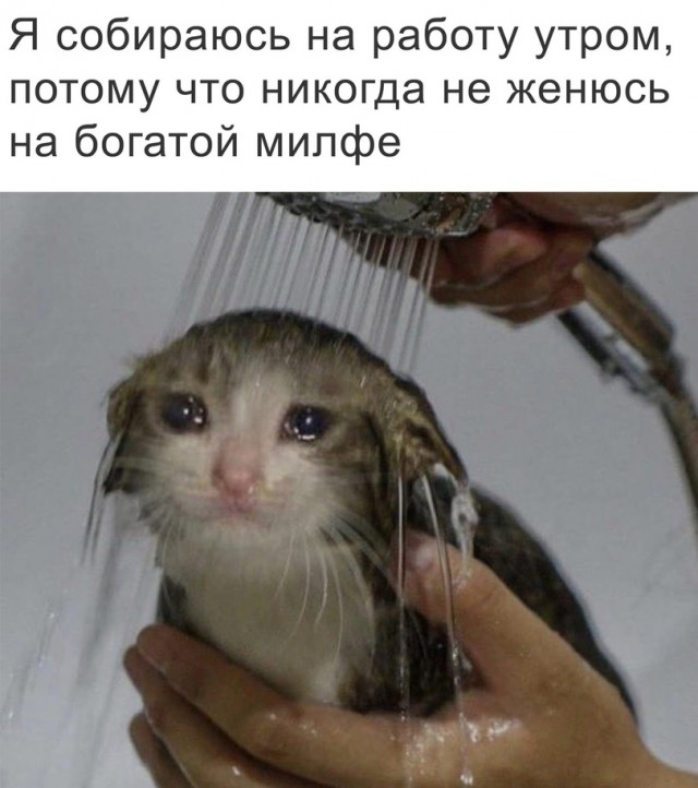 Картинки и мемы для настроения 12.10.2021