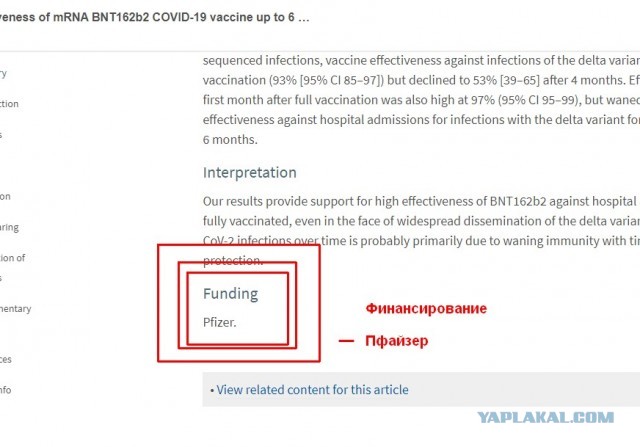 The Lancet: вакцинирование не снижает вероятности передачи вируса в случае заражения
