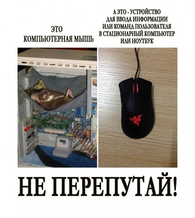 Чуток картинок 16.12.21
