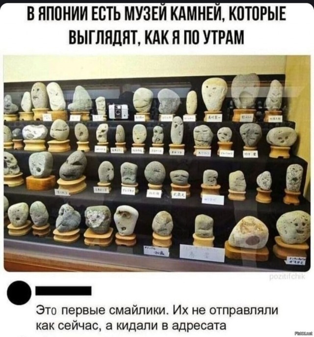 Разные картинки для настроения на любой вкус -11