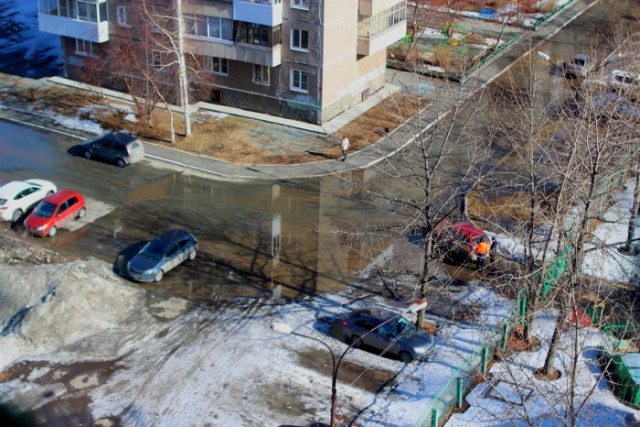 Печёнка жареная.