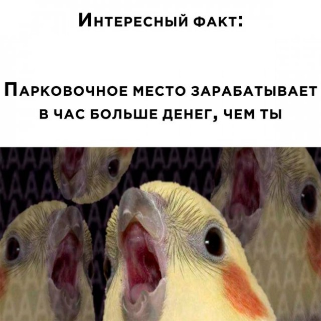 Картинки и мемы для настроения - 31