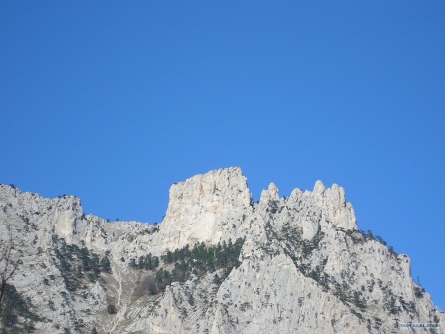 Южный берег Крыма