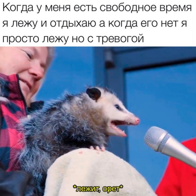Картинки и мемы для настроения - 111