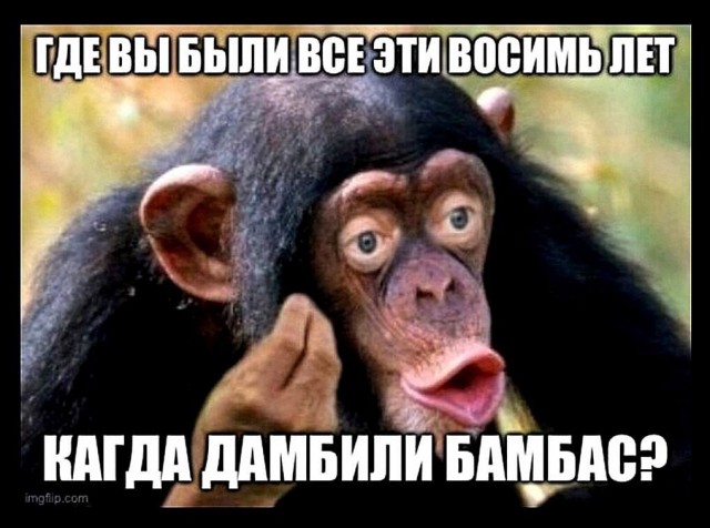 Земфира высказалась против войны