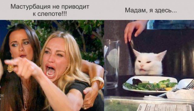 Весёлый полтишок 20.10.22