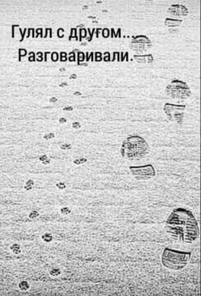 Так себе картинки 25.12.22