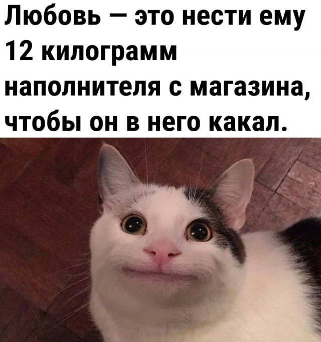 Так себе картинки 02.01.2023