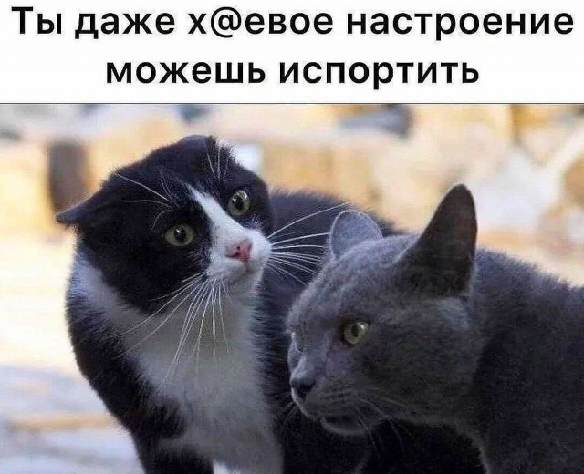 Народная меДИЧина 7000