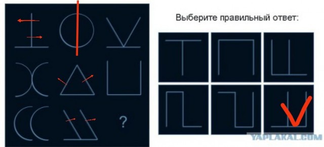 А какой у Вас IQ?