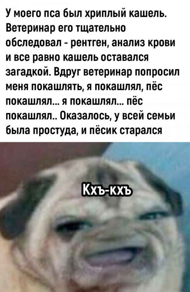 Так себе картинки 19.03.23