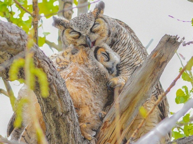 Подборка интересных и прикольных фото из Сети 01.04.23