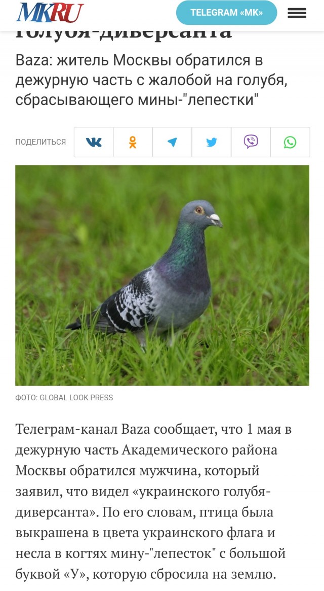 Директор школы в ХМАО написала заявление в полицию из-за косичек школьницы в цветах флага Украины