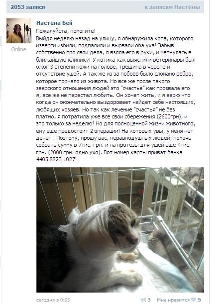 Очередной развод на благотворительности