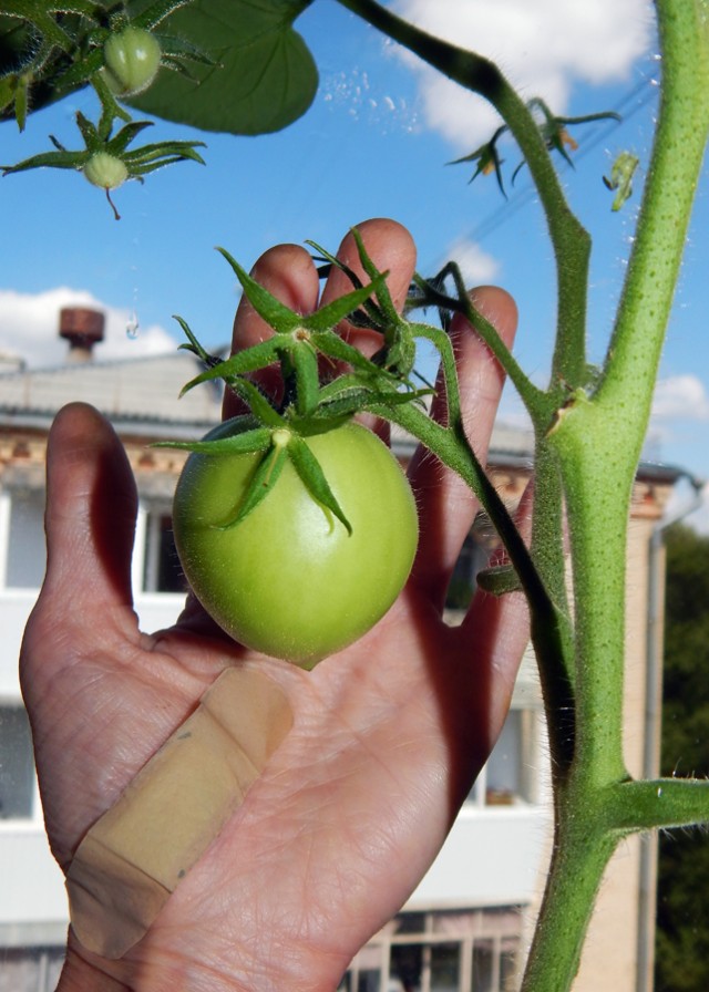 Уральское лето моими глазами