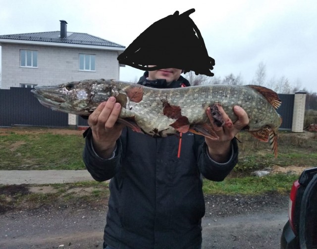 Вот и на мою голову свалилось счастье