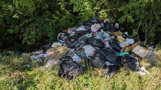 В Вологде вычислили и задержали местного жителя, самовольно убиравшего стихийные свалки⁠⁠