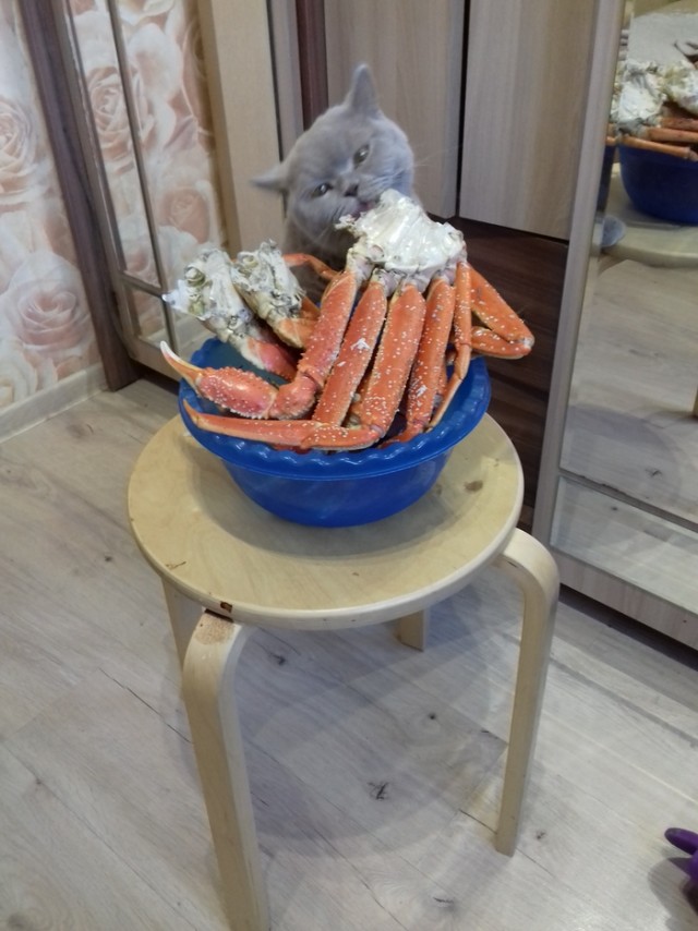 Суровый магаданский продавец