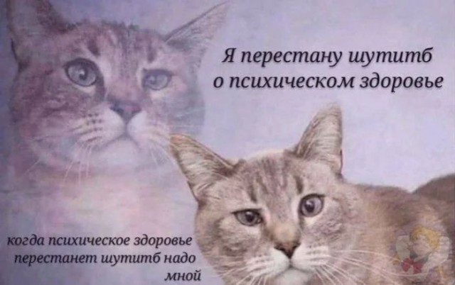 Приколы с налетом деградации