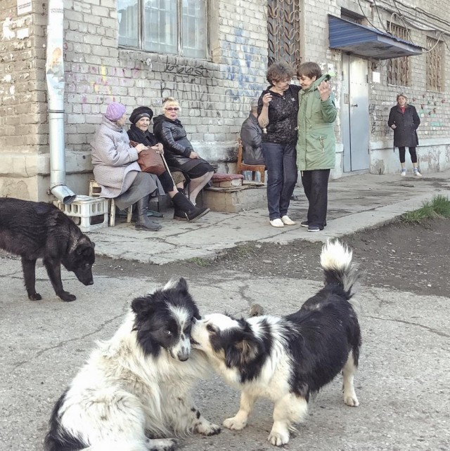 «Моя задача — не показать разруху, а увидеть жизнь на ее фоне»