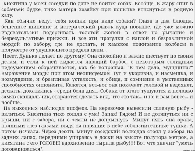 Так себе картинки 08.05.24