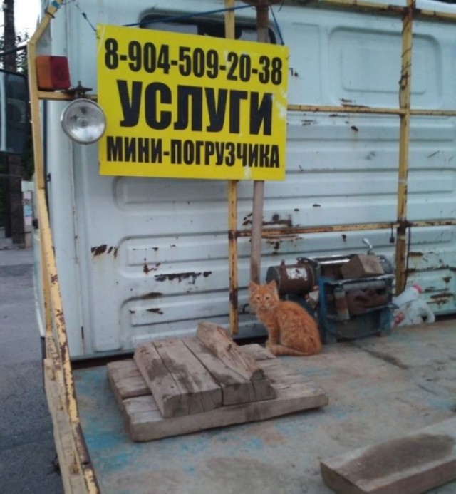 Уморные пикчи 07.06.24