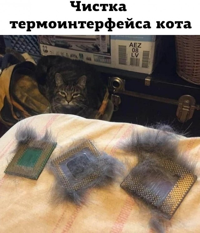 Завалялось тут случайно немного забавных картинок