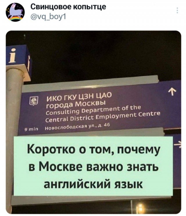 Немного забавных картинок от 2.10.2024