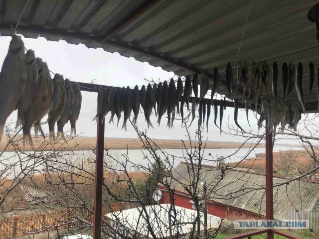 Дача, рукоделие, стройка