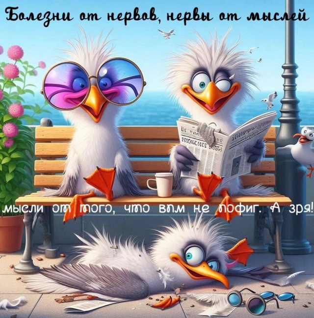 Так себе картинки 21.12.24