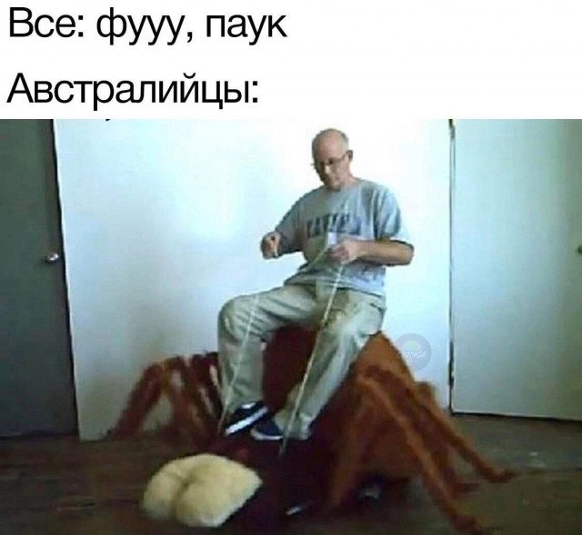 Так себе картинки 18.03.25