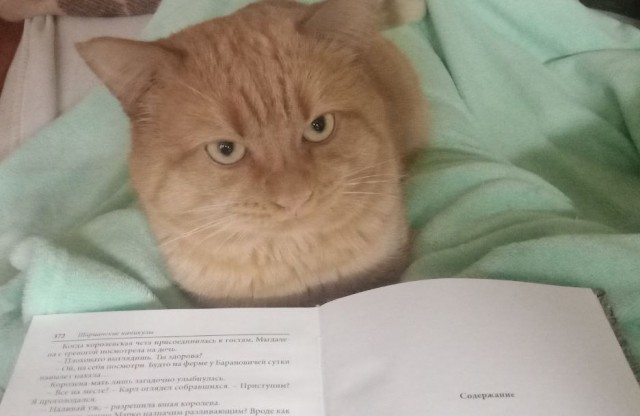 Книга ПОВЕСТИ