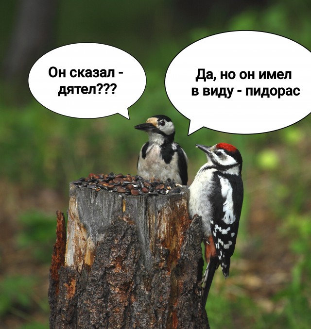 Вчера днем в Дагомысе
