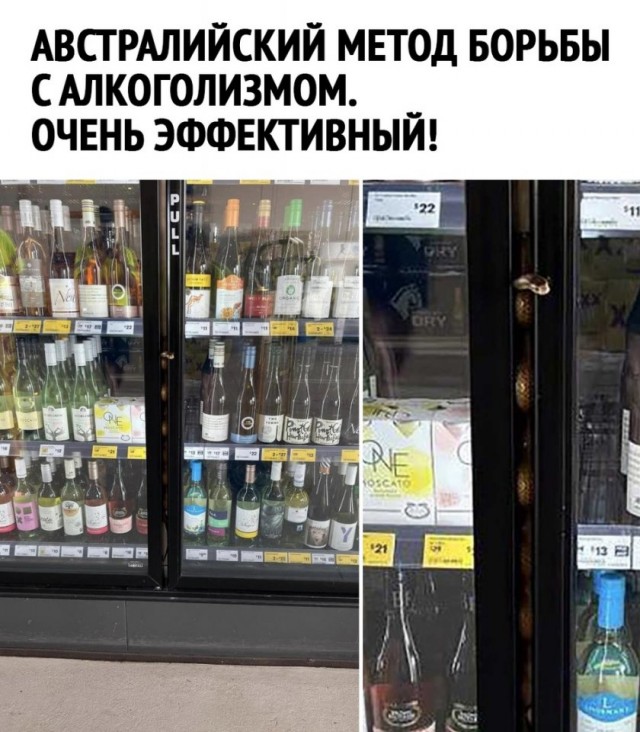Так себе картинки 14.07.25