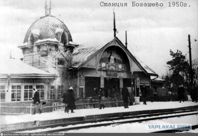 Холивар про грибной суп