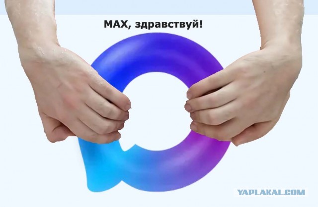 Депутаты просят Роскомнадзор вернуть звонки в иностранных мессенджерах