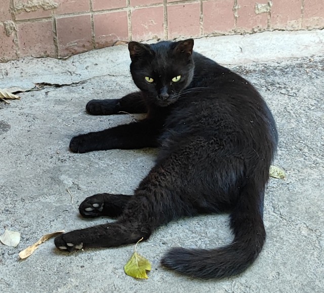 Стереотипы.