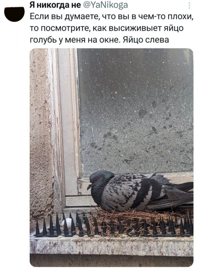 Немного картинкафф для настроения (баяны-перебаяны)