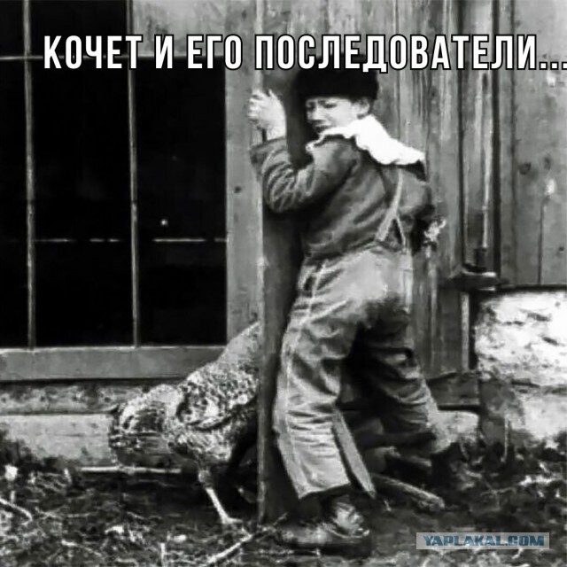 Кочет и Внук пионеров в поисках новых пиздостраданий