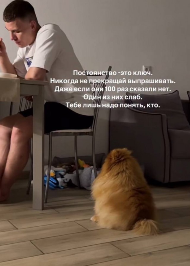 Весёлый полтишок 11.12.25