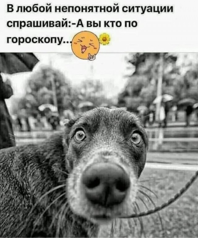 Понедельника картинки