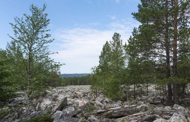 Деревенская Америка - 10