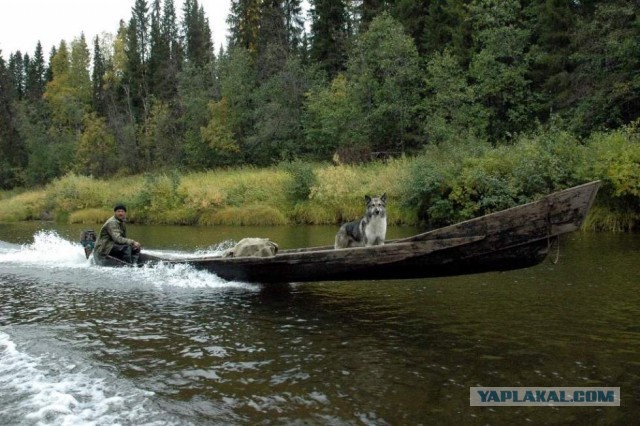 Маломерный флот СССР