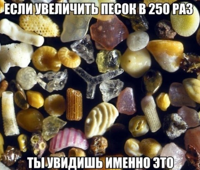 Картиночки, баянчики 05 июня