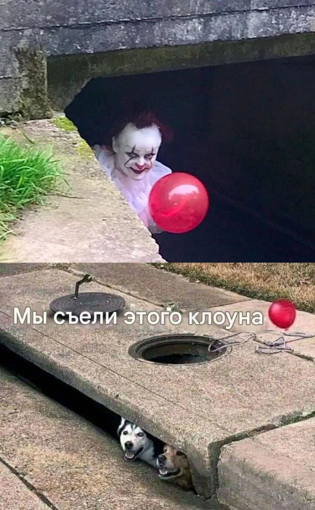 Веселые картинки в пятницу (03.07)