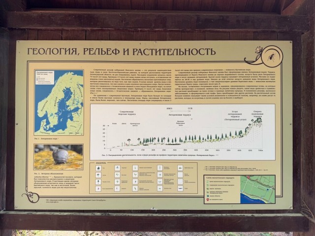 Интернет зависимость