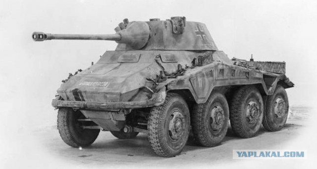 На Балтийской косе найден редчайший танк вермахта «Рысь»